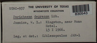 Image Associated With the Occurence